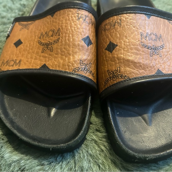 MCM Slides - Picture 2 of 3